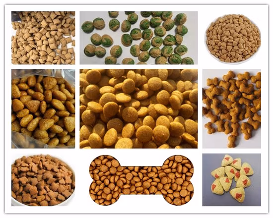 Dry Pet Cat Fish Feed Extrusion Equipment Plant Animal Floating Food Making Processing Extruder Machine Pet Dog Food Pellet Production Line Price